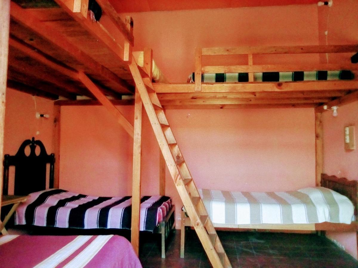 Hostal El Rincon De Los Camellos San Cristóbal de Las Casas Dış mekan fotoğraf