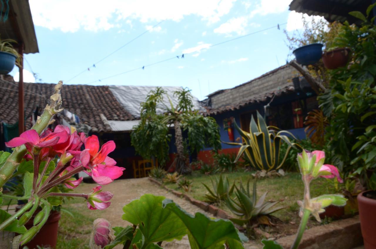 Hostal El Rincon De Los Camellos San Cristóbal de Las Casas Dış mekan fotoğraf