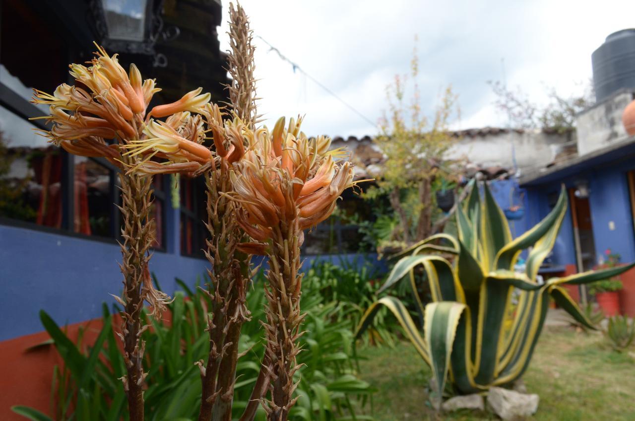 Hostal El Rincon De Los Camellos San Cristóbal de Las Casas Dış mekan fotoğraf