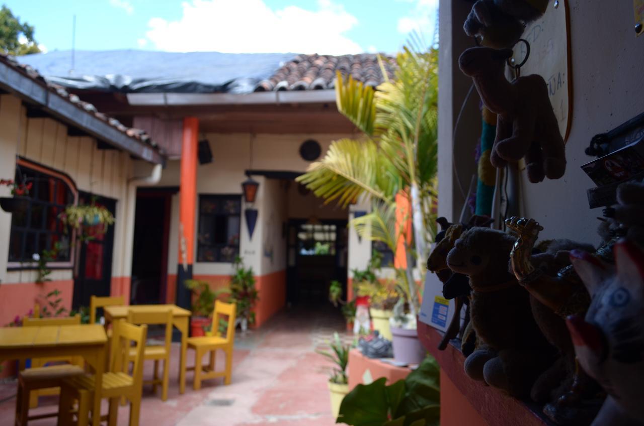 Hostal El Rincon De Los Camellos San Cristóbal de Las Casas Dış mekan fotoğraf