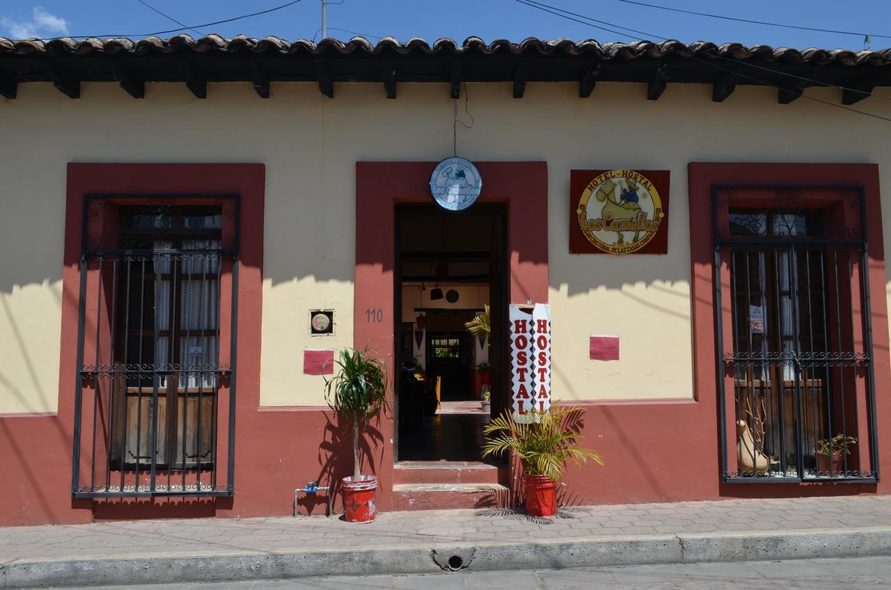 Hostal El Rincon De Los Camellos San Cristóbal de Las Casas Dış mekan fotoğraf