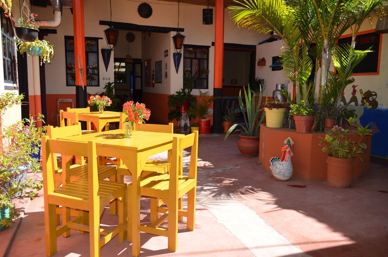 Hostal El Rincon De Los Camellos San Cristóbal de Las Casas Dış mekan fotoğraf