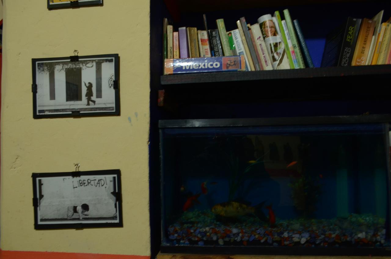 Hostal El Rincon De Los Camellos San Cristóbal de Las Casas Dış mekan fotoğraf