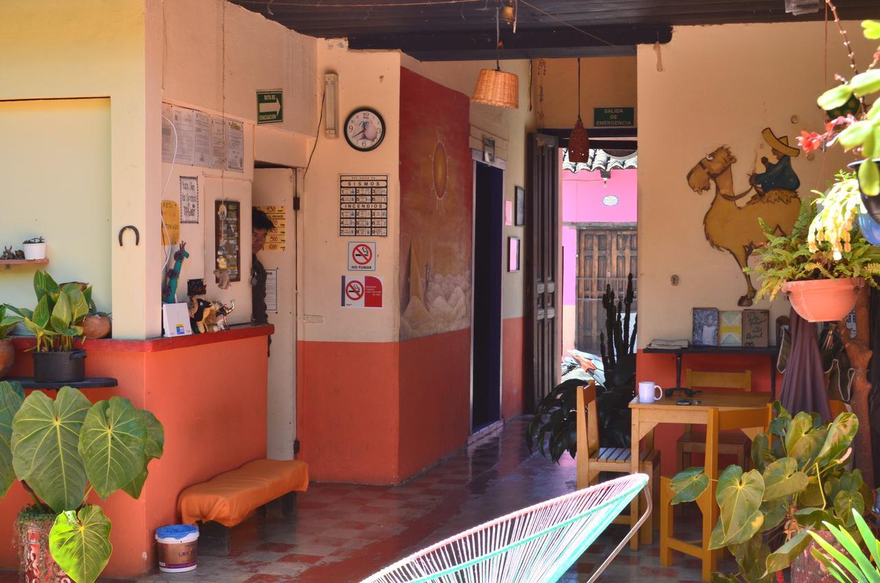 Hostal El Rincon De Los Camellos San Cristóbal de Las Casas Dış mekan fotoğraf