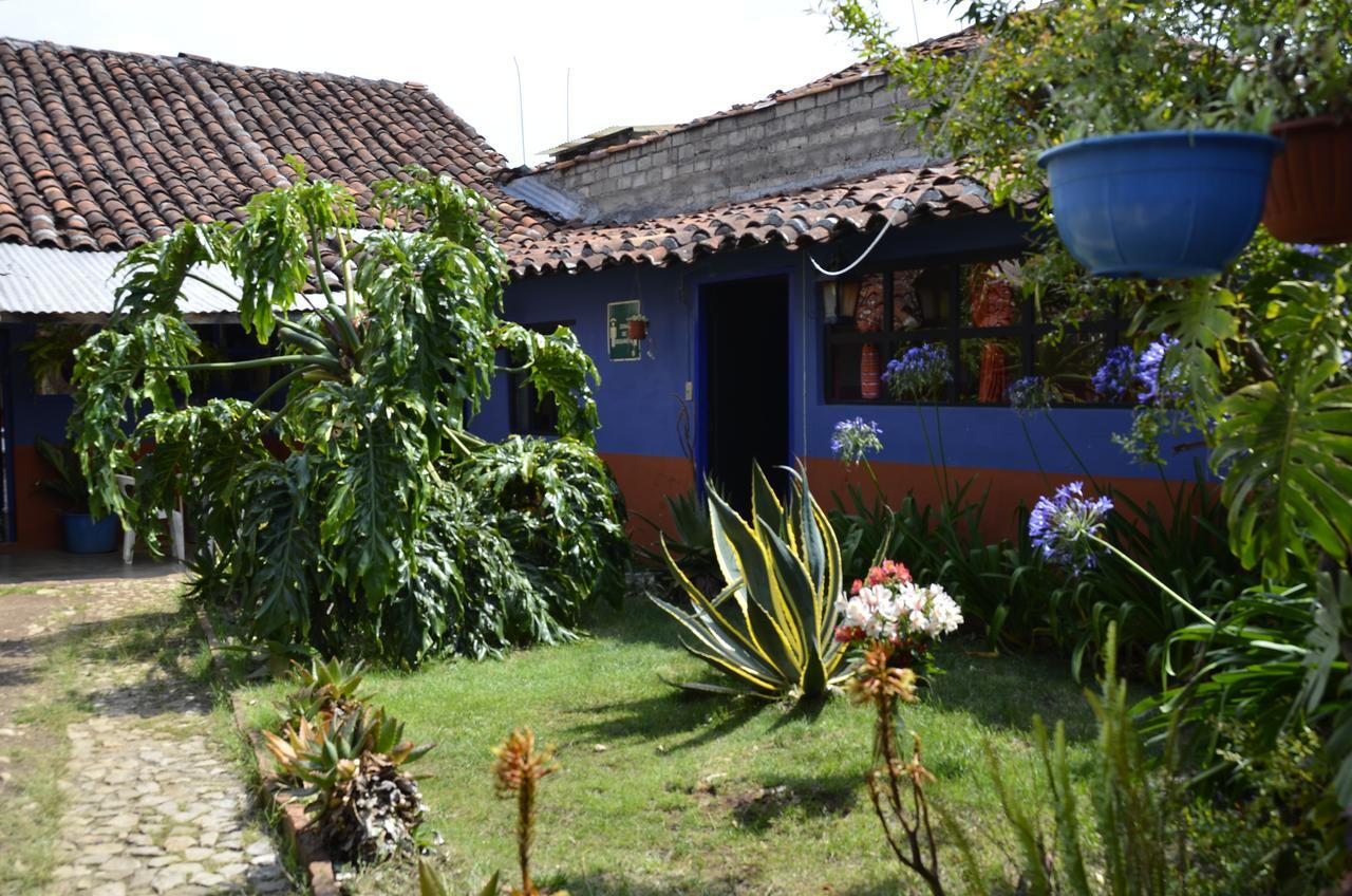 Hostal El Rincon De Los Camellos San Cristóbal de Las Casas Dış mekan fotoğraf