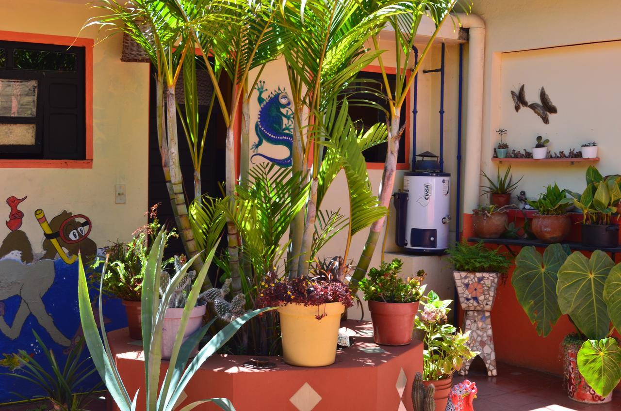 Hostal El Rincon De Los Camellos San Cristóbal de Las Casas Dış mekan fotoğraf
