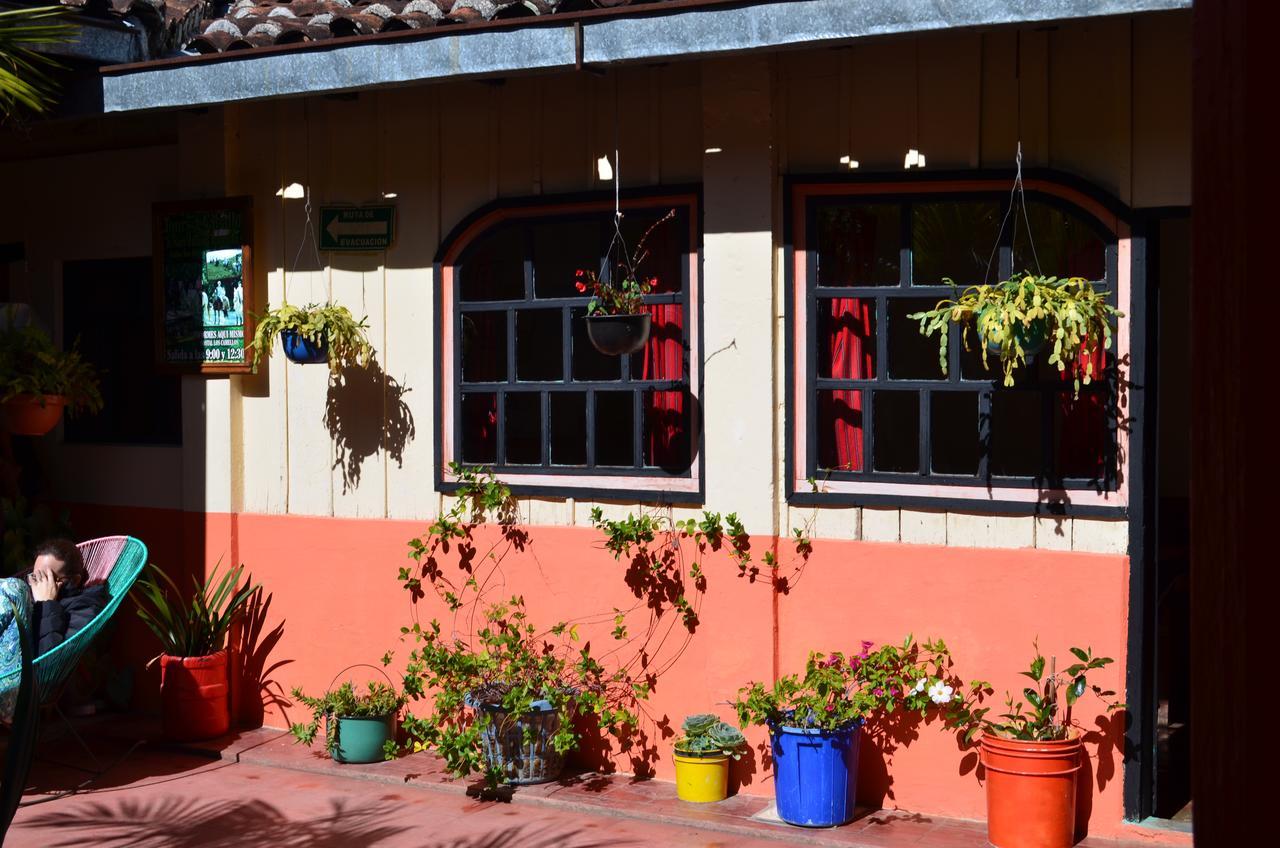 Hostal El Rincon De Los Camellos San Cristóbal de Las Casas Dış mekan fotoğraf
