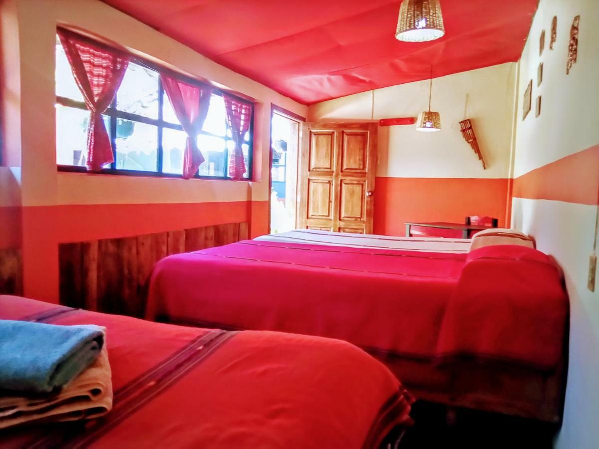 Hostal El Rincon De Los Camellos San Cristóbal de Las Casas Dış mekan fotoğraf